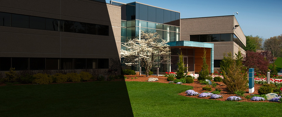 Fairview Landscapers