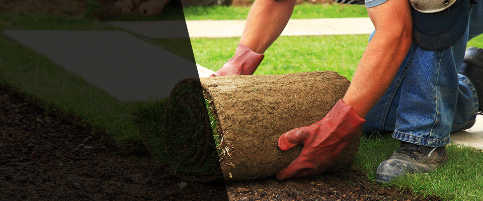 Fairview Landscapers